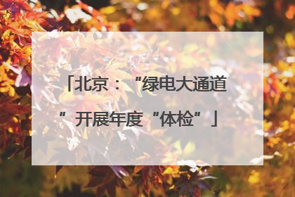 北京：“绿电大通道”开展年度“体检”