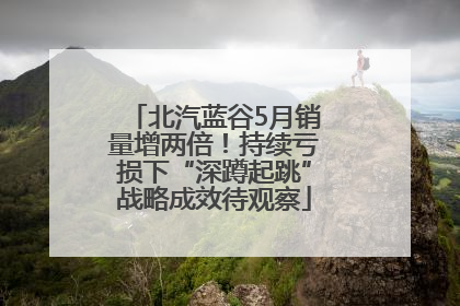 北汽蓝谷5月销量增两倍！持续亏损下“深蹲起跳”战略成效待观察