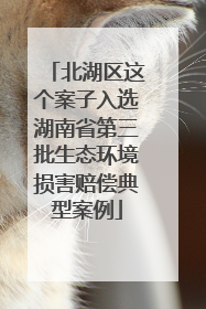 北湖区这个案子入选湖南省第三批生态环境损害赔偿典型案例