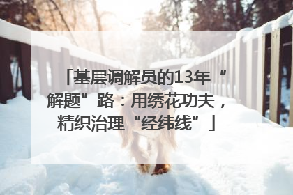 基层调解员的13年“解题”路：用绣花功夫，精织治理“经纬线”