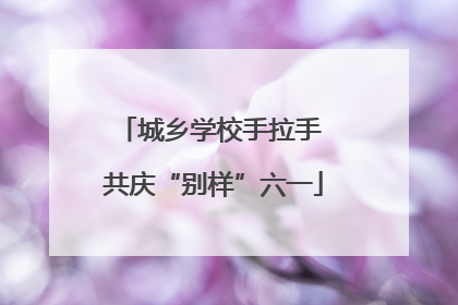 城乡学校手拉手 共庆“别样”六一