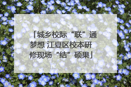 城乡校际“联”通梦想 江夏区校本研修现场“结”硕果