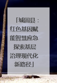 城固县：红色基因赋能智慧应急 探索基层治理现代化新路径