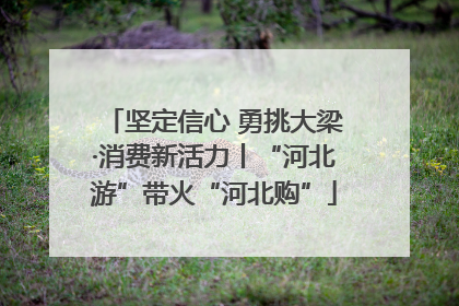坚定信心 勇挑大梁·消费新活力丨“河北游”带火“河北购”