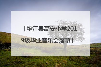 垫江县高安小学2019级毕业音乐会落幕