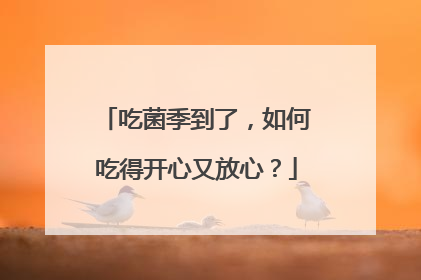 吃菌季到了，如何吃得开心又放心？