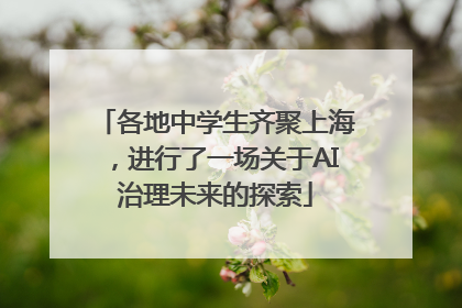 各地中学生齐聚上海，进行了一场关于AI治理未来的探索