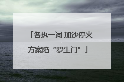 各执一词 加沙停火方案陷“罗生门”