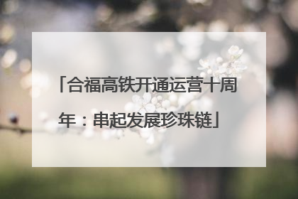 合福高铁开通运营十周年：串起发展珍珠链