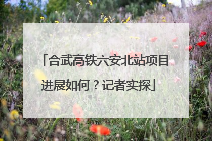 合武高铁六安北站项目进展如何？记者实探