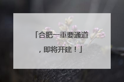 合肥一重要通道，即将开建！