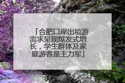 合肥口岸出境游需求呈现爆发式增长，学生群体及家庭游客是主力军
