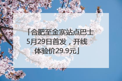 合肥至金寨站点巴士5月29日首发，开线体验价29.9元