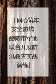 同心筑牢安全防线 醴陵市军地联合开展防汛救灾实战演练