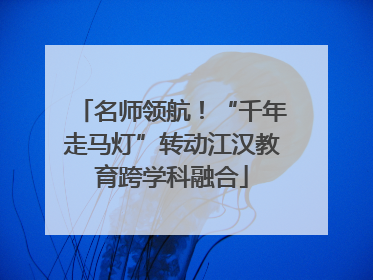 名师领航！“千年走马灯”转动江汉教育跨学科融合