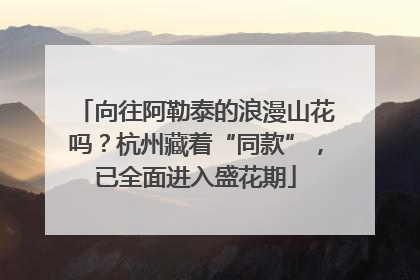 向往阿勒泰的浪漫山花吗？杭州藏着“同款”，已全面进入盛花期
