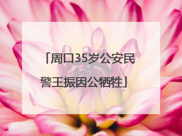 周口35岁公安民警王振因公牺牲