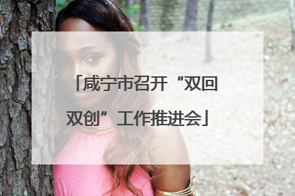 咸宁市召开“双回双创”工作推进会