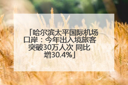 哈尔滨太平国际机场口岸：今年出入境旅客突破30万人次 同比增30.4%