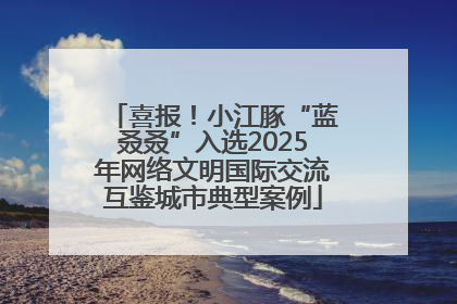 喜报！小江豚“蓝叒叒”入选2025年网络文明国际交流互鉴城市典型案例