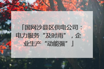 国网沙县区供电公司：电力服务“及时雨”，企业生产“动能强”