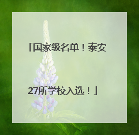 国家级名单！泰安27所学校入选！