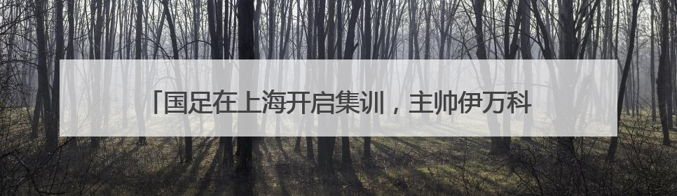 国足在上海开启集训，主帅伊万科维奇期待对阵印尼踢得更有进攻性