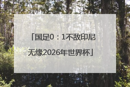 国足0：1不敌印尼 无缘2026年世界杯