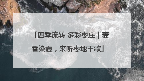 四季流转 多彩枣庄｜麦香染夏，来听枣地丰歌