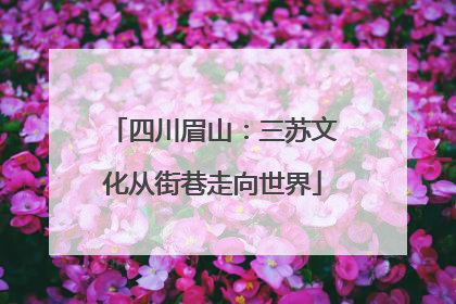 四川眉山：三苏文化从街巷走向世界