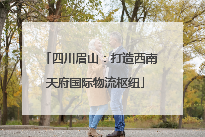 四川眉山：打造西南天府国际物流枢纽