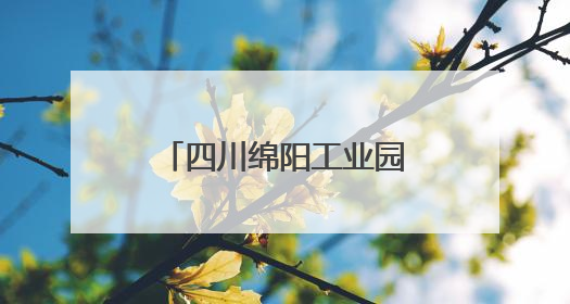 四川绵阳工业园区党工委副书记、纪检监察工委书记李玉琼接受纪律审查和监察调查