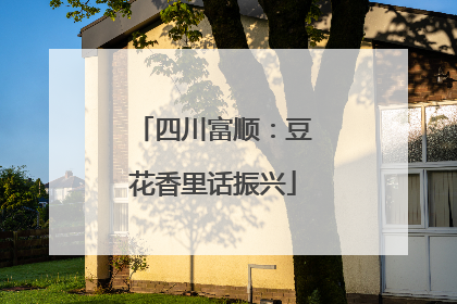 四川富顺：豆花香里话振兴
