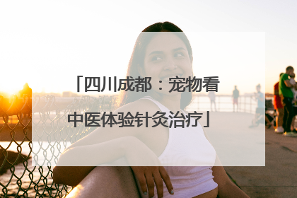 四川成都：宠物看中医体验针灸治疗
