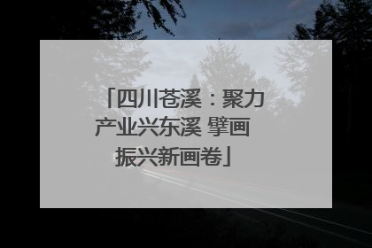 四川苍溪：聚力产业兴东溪 擘画振兴新画卷