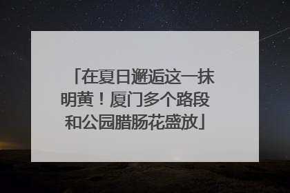 在夏日邂逅这一抹明黄！厦门多个路段和公园腊肠花盛放