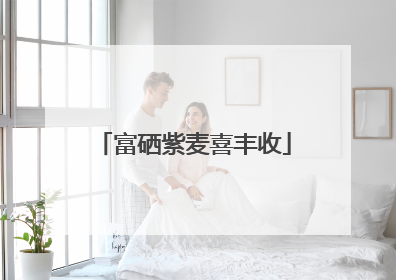 富硒紫麦喜丰收