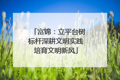 富锦：立平台树标杆深耕文明实践培育文明新风