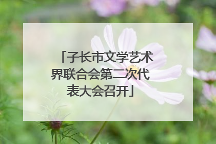 子长市文学艺术界联合会第二次代表大会召开
