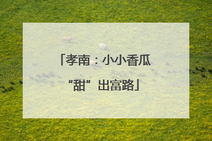 孝南：小小香瓜 “甜”出富路