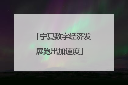 宁夏数字经济发展跑出加速度