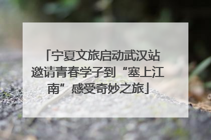 宁夏文旅启动武汉站 邀请青春学子到“塞上江南”感受奇妙之旅