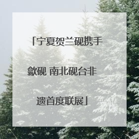 宁夏贺兰砚携手歙砚 南北砚台非遗首度联展