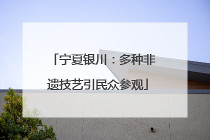 宁夏银川：多种非遗技艺引民众参观