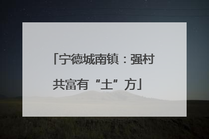 宁德城南镇：强村共富有“土”方