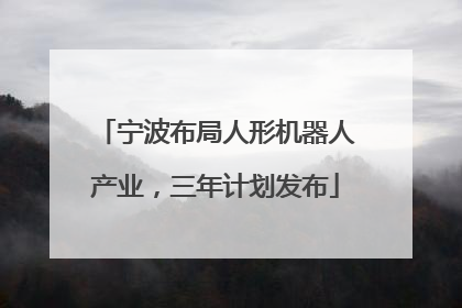 宁波布局人形机器人产业，三年计划发布