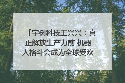 宇树科技王兴兴：真正解放生产力前 机器人格斗会成为全球受欢迎的赛事｜科技观察