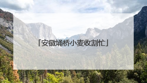 安徽埇桥小麦收割忙