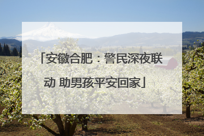 安徽合肥：警民深夜联动 助男孩平安回家