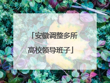 安徽调整多所高校领导班子